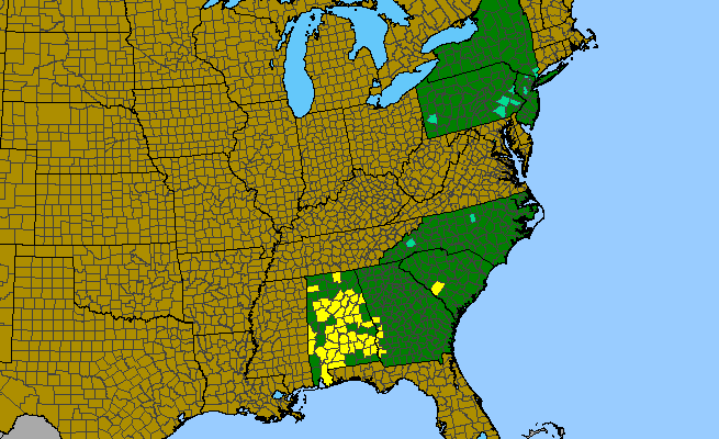 The native range of Aesculus parviflora